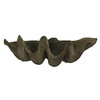 Lifelike Cast Polyresin Giant Clam Shell Decorative Bowl Additional image