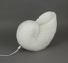 White Sandstone Finish Frilled Nautilus Shell Accent Lamp 10 Inches High Additional image