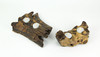 Set of 2 Natural Gamal Root Wood Double Tealight Candle Holders - 8 Inch Additional image
