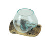Blown Molten Glass On Teak Driftwood Decorative Bowl / Mini Terrarium Main image