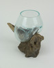 Blown Molten Glass On Teak Driftwood Decorative Bowl / Mini Terrarium Additional image