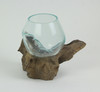 Blown Molten Glass On Teak Driftwood Decorative Bowl / Mini Terrarium Additional image