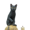 Lisa Parker Spirits of Salem Black Cat on Human Skull Statue 6.5 Inches High Additional image