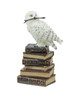 White Snowy Owl Perched On Stack of Magical Books Statue Main image