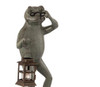 SPI Home Cast Aluminum Professor Frog Garden Lantern Candle Holder Statue Additional image