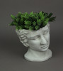 Resin Classic Greek Statue Head Planter Decorative Bust Flower Pot Plant Vase Additional image