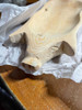 Hand Carved Pig Shaped Decorative Wooden Serving Tray 15 Inch Image of main defect