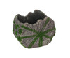 Cement Mossy Tree Bark Planter Indoor Outdoor Succulent Plant Rustic Garden Pot Main image