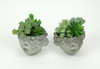 Set of 2 Pucker Up Concrete Head Kissing Face Mini Decor Planters 4 Inch Tall Additional image