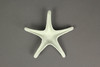 Set of 4 Cast Iron Starfish Home Decor Sea Sculpture Coastal Table Decorations Additional image