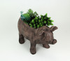 17 Inch Long Rustic Brown Finish Smiling Pig Planter Additional image