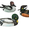 5 Inch Resin Duck Sculptures Home Decor Mallard Statues Figurine Art Set of 6 Additional image