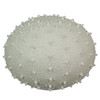8.5" Resin LED Sea Urchin Accent Lamp - Nautical Decor Main image