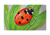Betsy Drake Lady Bug 30 X 50 Inch Comfort Floor Mat Main image