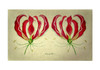 Betsy Drake Red Lily 30 X 50 Inch Comfort Floor Mat Main image