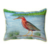 Betsy Drake Green Heron II Extra Large 20 X 24 Indoor / Outdoor Pillow Main image