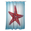 Betsy Drake Starfish Shower Curtain Main image