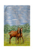 Betsy Drake Two Horses Kitchen Towel Main image