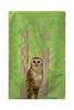 Betsy Drake Owl Beach Towel Main image