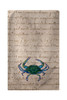 Betsy Drake Male Blue Crab French Print Beach Towel Main image