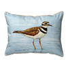 Betsy Drake Killdeer Extra Large Zippered Pillow 20x24 Main image