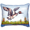 Betsy Drake Pintail Duck Extra Large Zippered Pillow 20x24 Main image