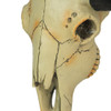 14-Inch Longhorn Steer Skull Resin Home Wall Art Décor Additional image