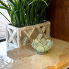 Seafoam Green Capiz Shell Blooming Lotus Flower Blossom Tealight Candle Holder Lifestyle image 2