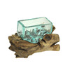 Rectangular Glass On Driftwood Decorative Bowl/Vase/Terrarium Succulent Planter Additional image