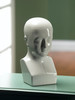 AAI White Porcelain Head Main image