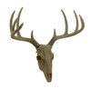 Little Bucky Wall Mounted Faux Aged Finish 10 Point Antlers Deer Skull 15 Inch Main image