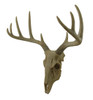 Little Bucky Wall Mounted Faux Aged Finish 10 Point Antlers Deer Skull 15 Inch Additional image