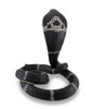 Coiled and Rearing King Cobra Sculptured Statue Additional image