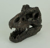 5.75 In Tyrannosaurus Rex Dinosaur Skull Fossil Statue Resin T-Rex Head Additional image