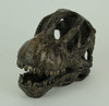 6 inch Brachiosaurus Dinosaur Skull Fossil Statue Resin Brown Office Desk Décor Additional image