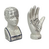 Zeckos Ceramic Phrenology Head and Palmistry Hand Figurines Set White Additional image