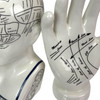 Zeckos Ceramic Phrenology Head and Palmistry Hand Figurines Set White Additional image