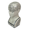 Zeckos Ceramic Phrenology Head Bust Figurine White Glossy 7.5 Inch Additional image