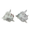 Set of 2 Resin Hermit Crab Statues Coastal White Shell Figurines 5.25 In Additional image
