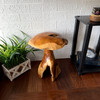 Teak Wood Mushroom Statue Hand Carved Natural Sculpture 16.5 in Decor Lifestyle image 2