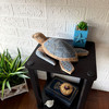 Sea Turtle Statue Hand Carved Wood Blue Coastal Decor 12in Tabletop Art Lifestyle image 2