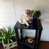 Solar Piglet Garden Light White Resin Flower LED Outdoor Figurine 7.5 In Lifestyle image 2