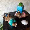 Beach Highland Cow Figurines Set of 2 Resin 4 in Coastal Shelf Decor Lifestyle image 1