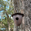 Hanging Birdhouse Rustic Acorn Metal Brown 10.5 Inch Outdoor Garden Decor Lifestyle image 4