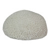 6" Resin LED Brain Coral Lamp - Nautical Decor Main image