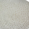 6" Resin LED Brain Coral Lamp - Nautical Decor Additional image