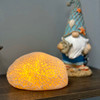 6" Resin LED Brain Coral Lamp - Nautical Decor Lifestyle image 1