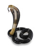 Coiled and Rearing King Cobra Sculptured Statue Additional image