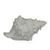 8 Inch Resin LED Frog Shell Accent Lamp Sea Table Light Nautical Home Decor Additional image