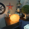 Coastal Sea Urchin Lamp, 12" Resin Sculpture with Warm Glow, Decorative Accent Lifestyle image 1